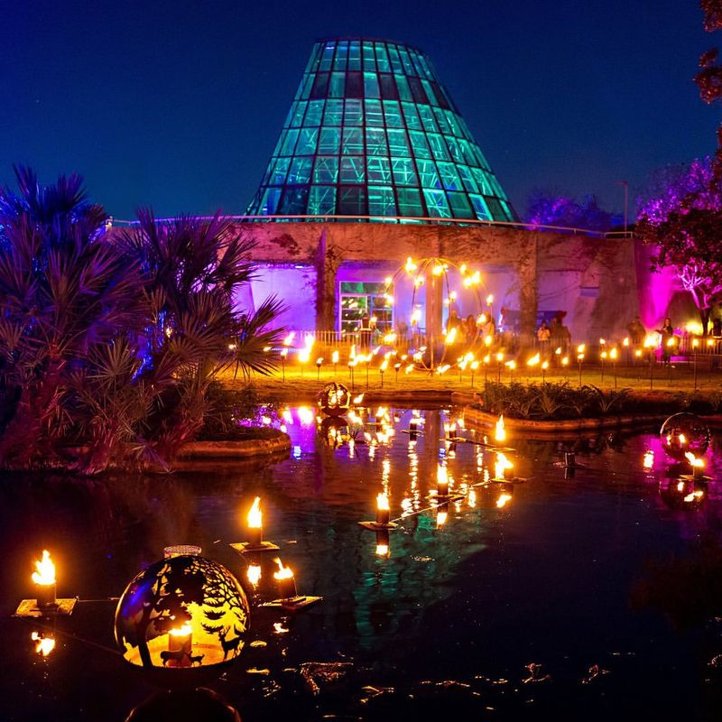 Nighttime Light Installations