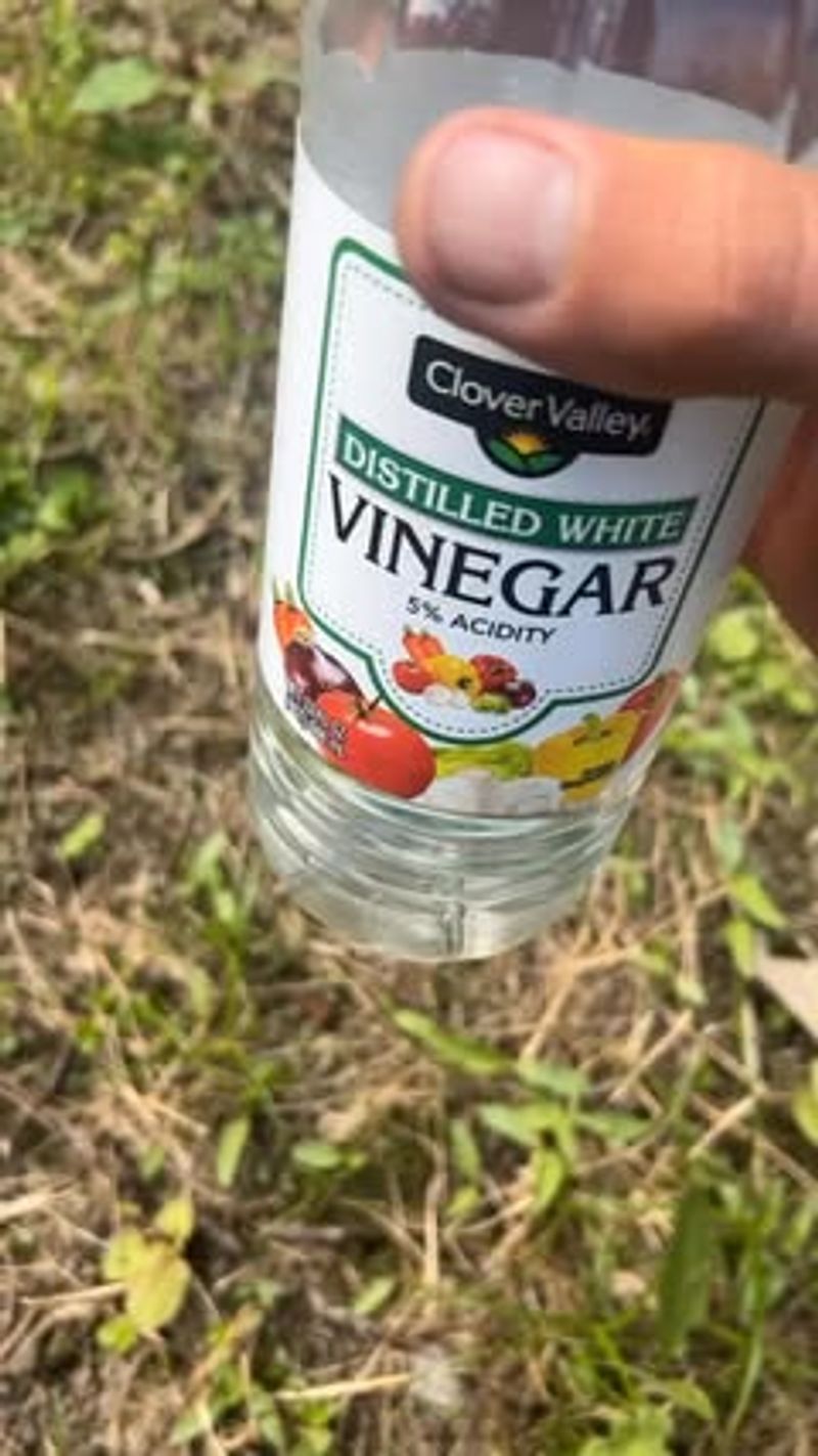 Vinegar Spray Solution