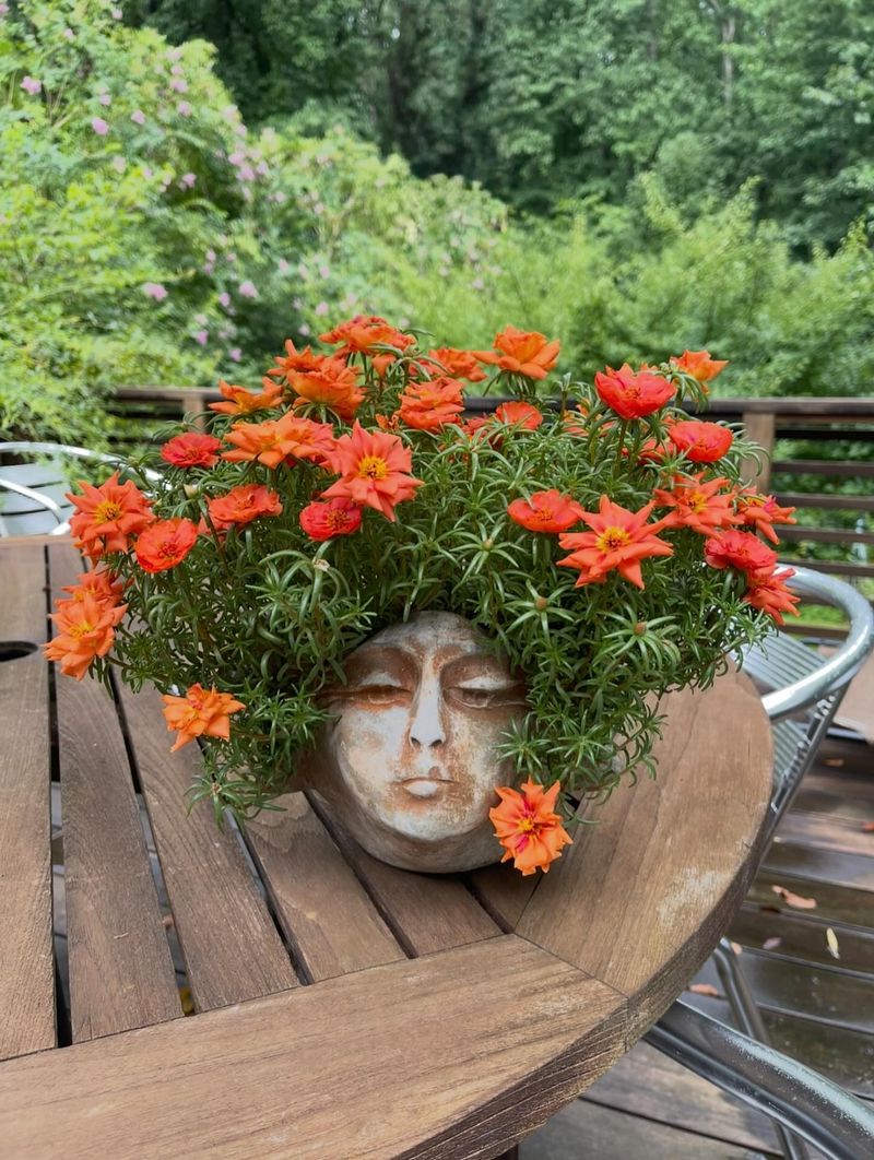 Portulaca (Moss Rose)
