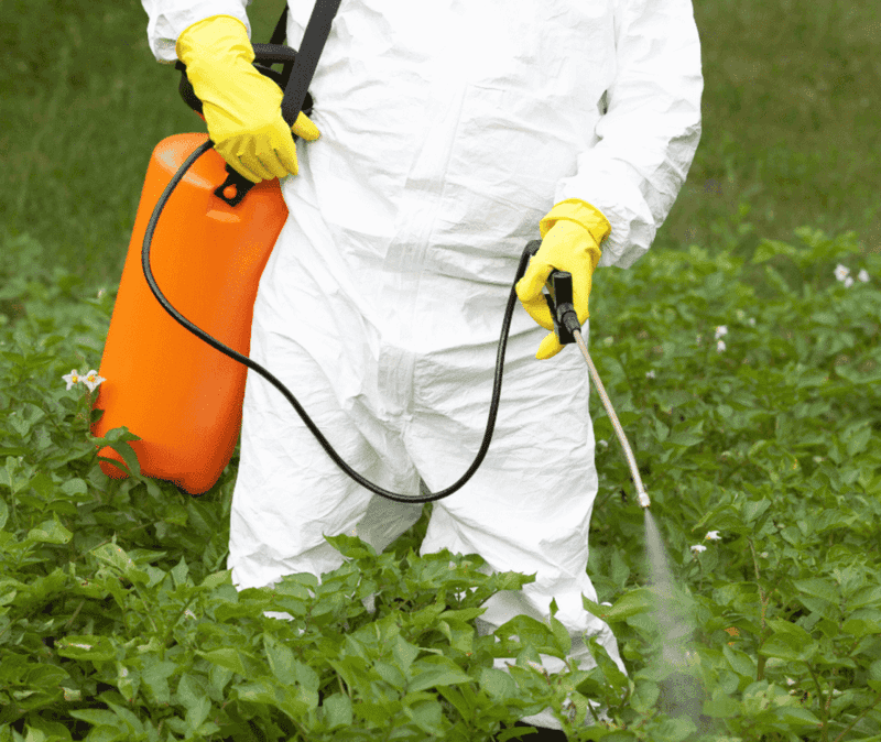 Apply Professional-Grade Herbicides