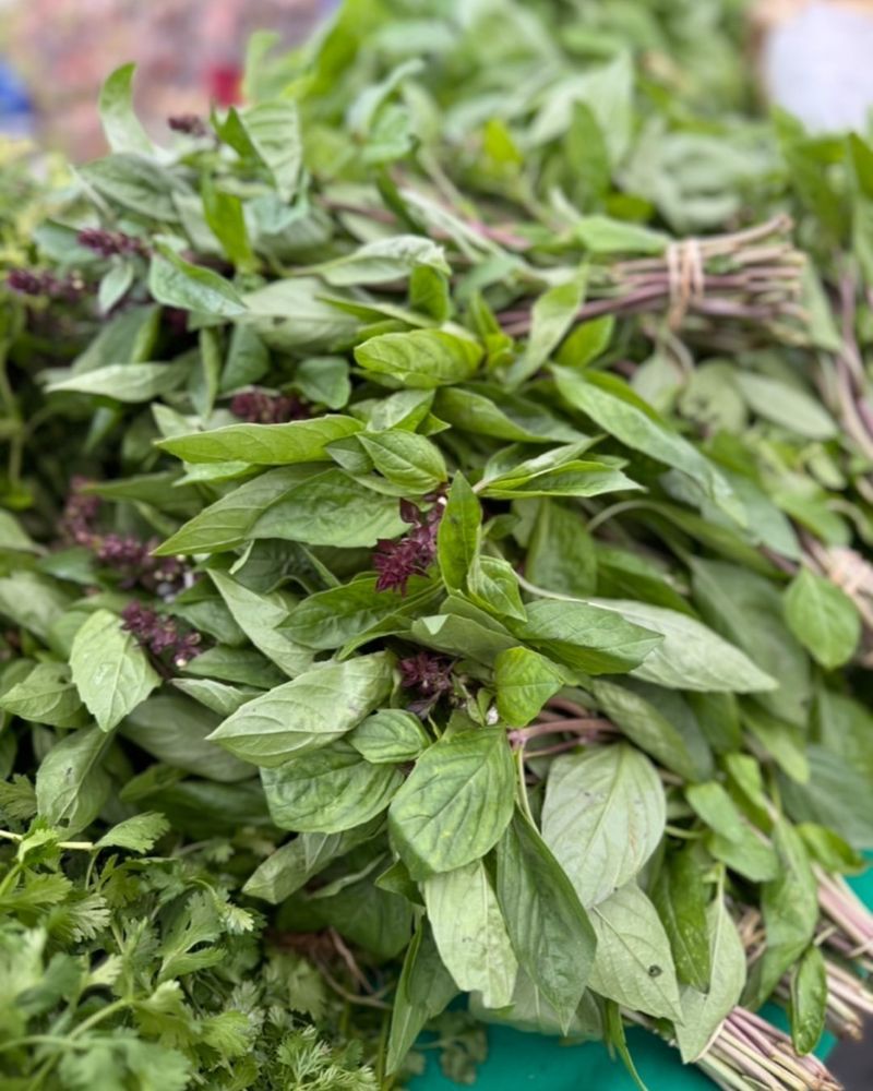 Basil: Last Chance Before Frost