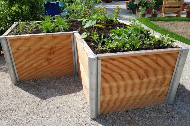 raised bed garden