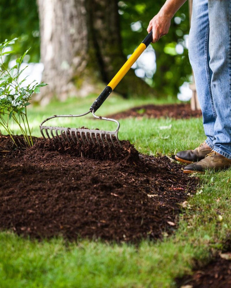 Mulch After Fertilizing