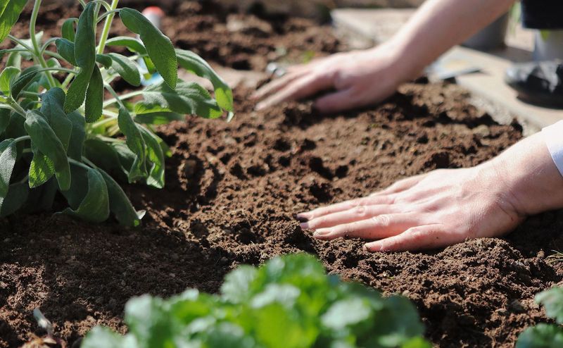 Prepare Your Soil For Spring Success