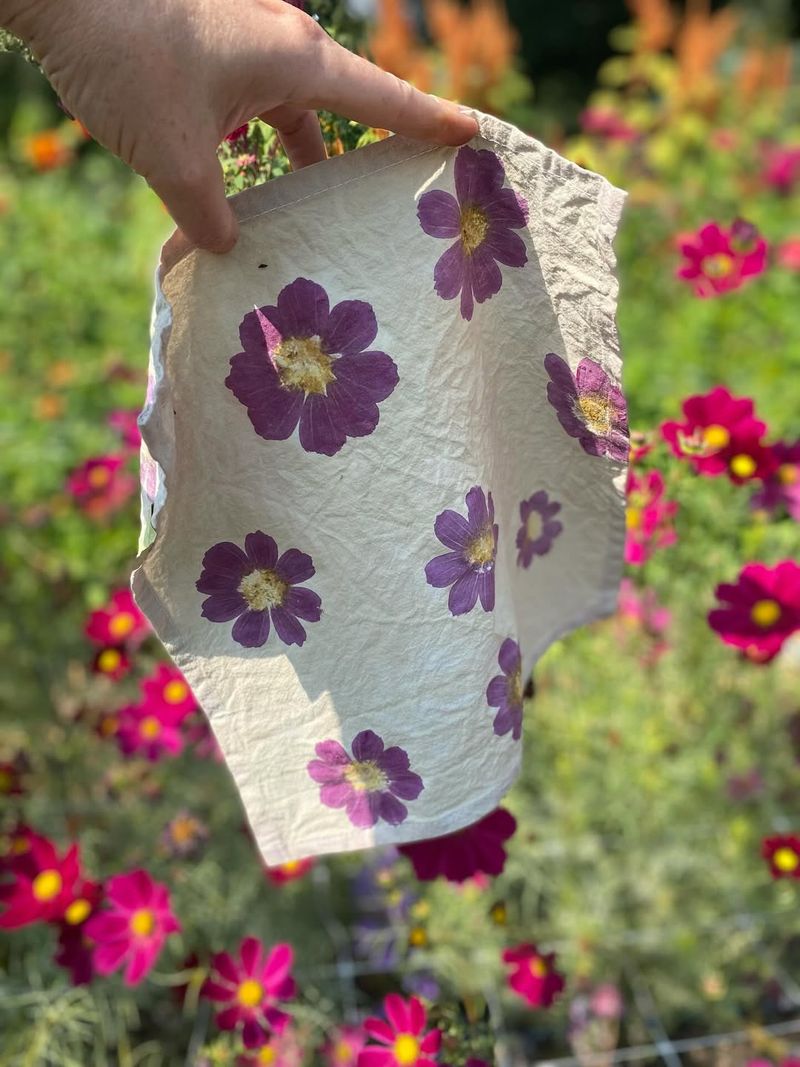 Natural Dye Source