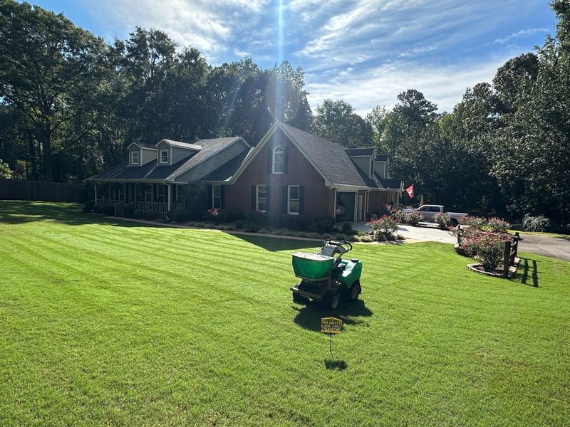 Excessive Lawn Maintenance Destroys Microhabitats