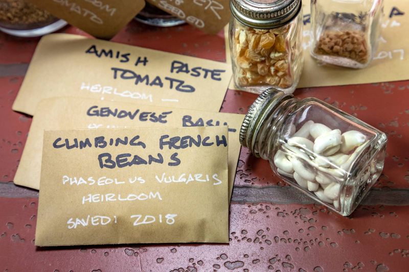 Seed Saving Circles