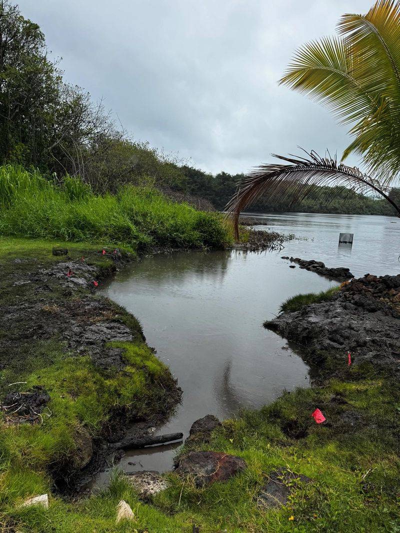 Loko I'a: Fish Ponds That Feed Generations