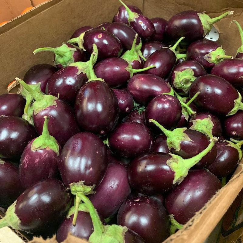 Bambino Eggplants