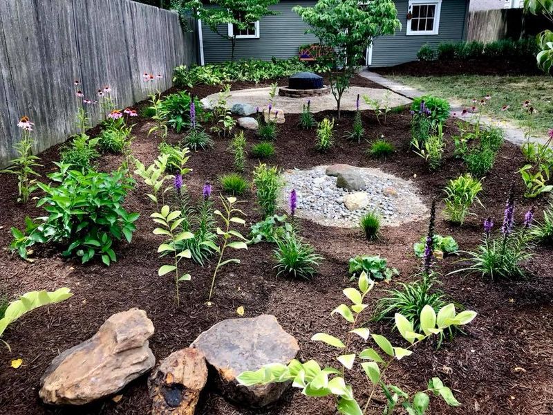 Rain Garden Depression