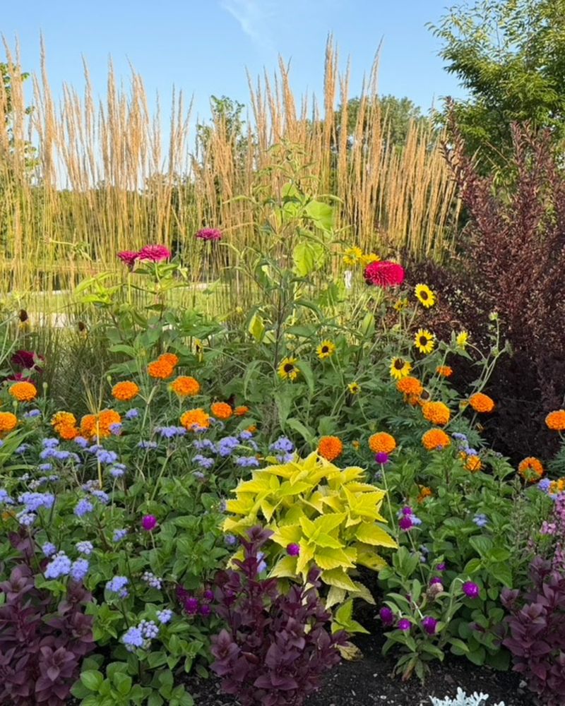 Overland Park Arboretum's Secret Woodland Dell