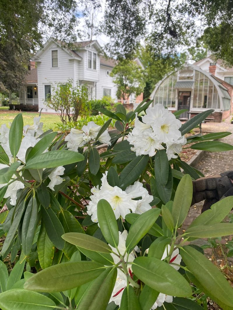 Luther Burbank Home & Gardens