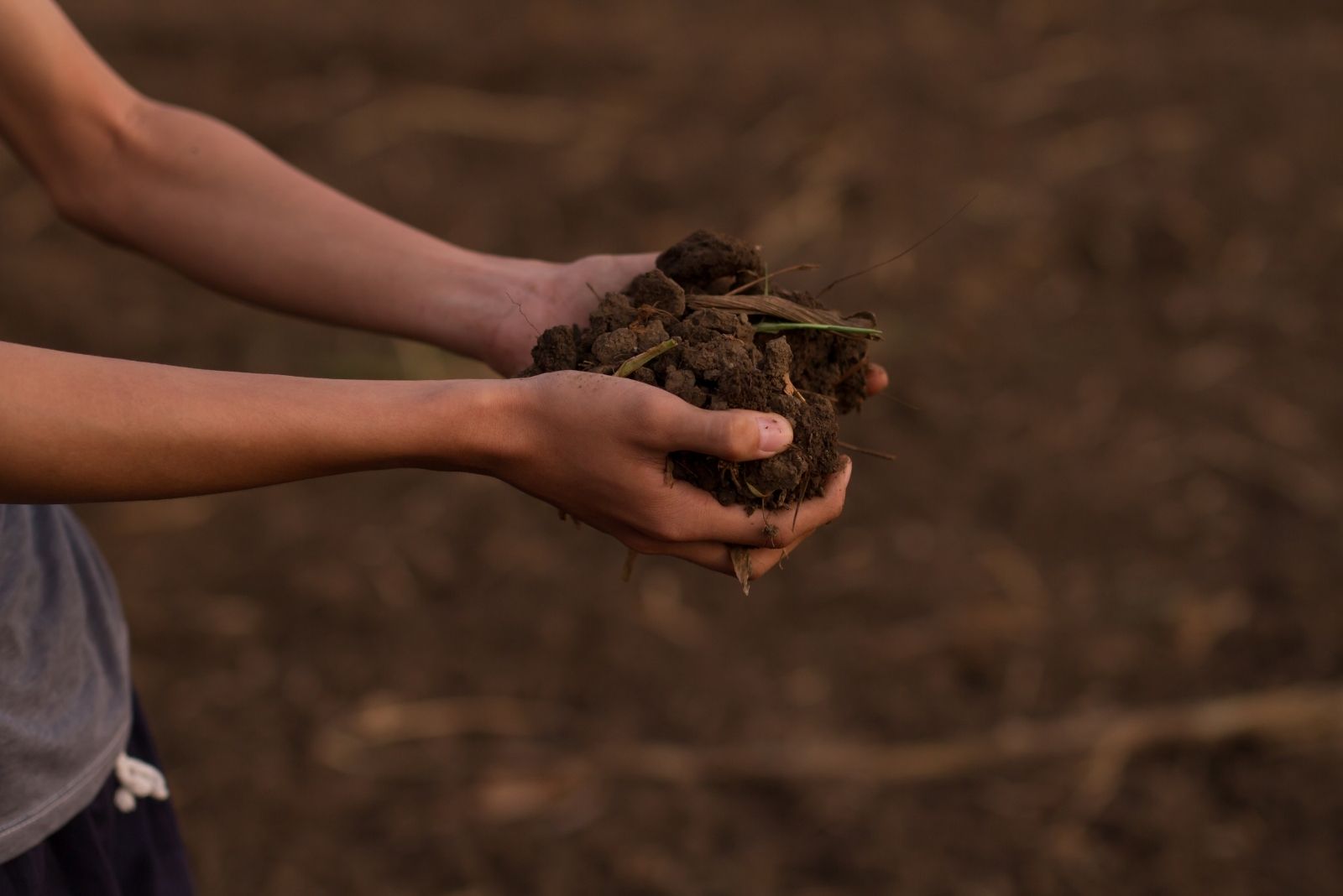 Easy Fixes For Compacted Soil In Illinois Backyards