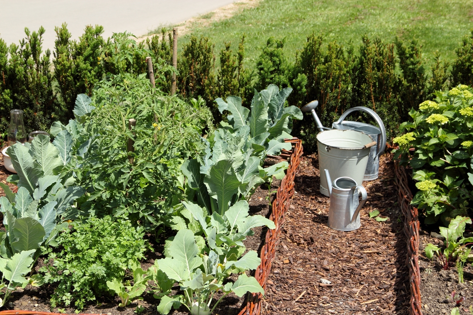 Easy Guide To Growing Vegetables In Wisconsin This Fall