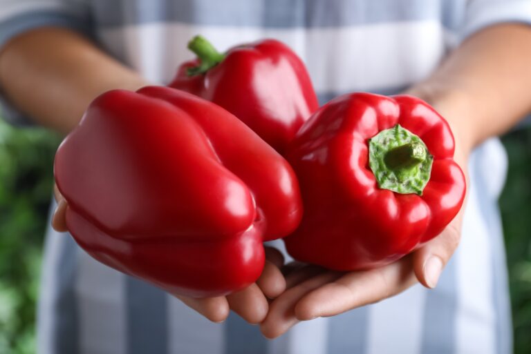red bell peppers