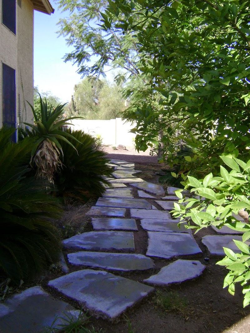 Flagstone With Creeping Plants