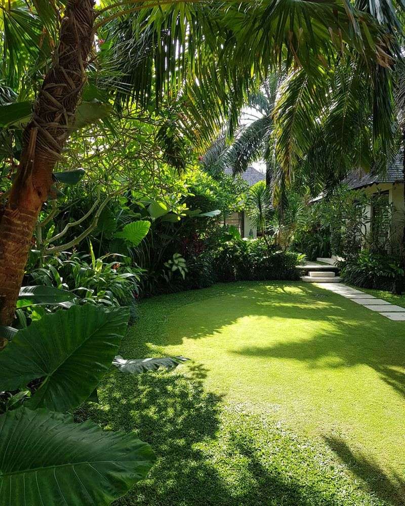 Tropical Privacy Screen