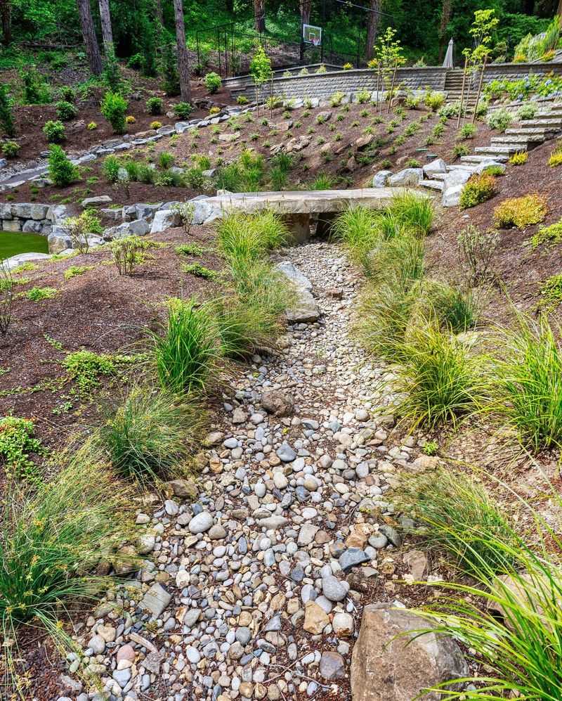 Meandering Dry Creek Beds