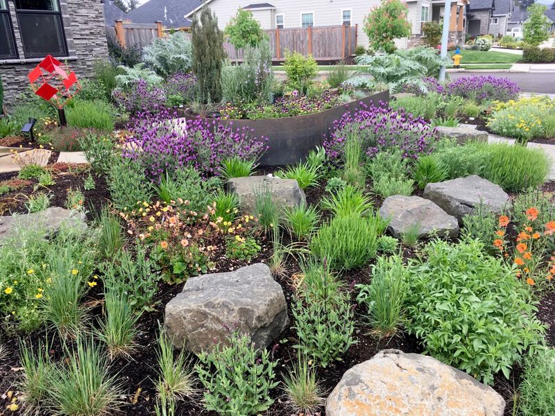Rock Gardens Minimize Weeding