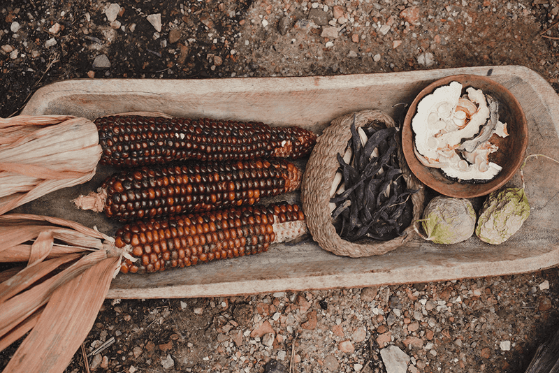 Seed Exchange Gatherings