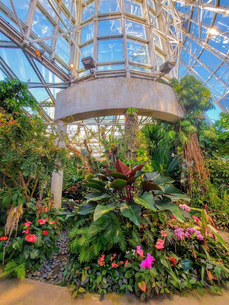 Butterfly Garden Sanctuary