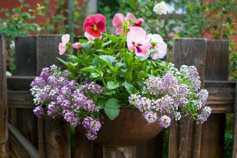 Garden Flower Container