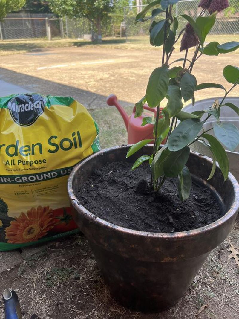 Refresh Tired Soil
