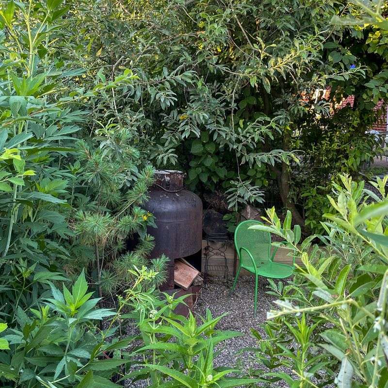 Bamboo: The Neighbor Relationship Destroyer