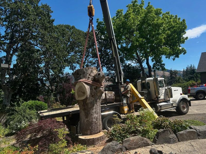 Winch and Chain Extraction