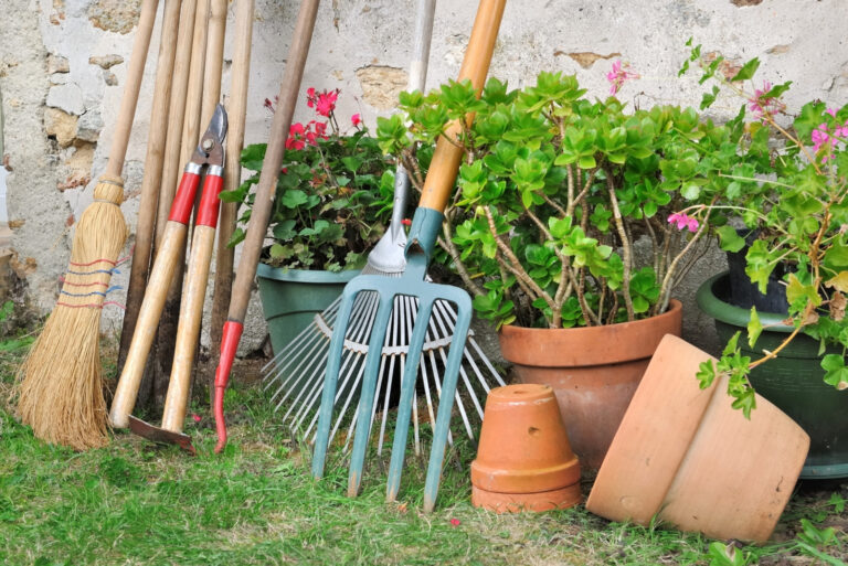 gardening tools (featured image)