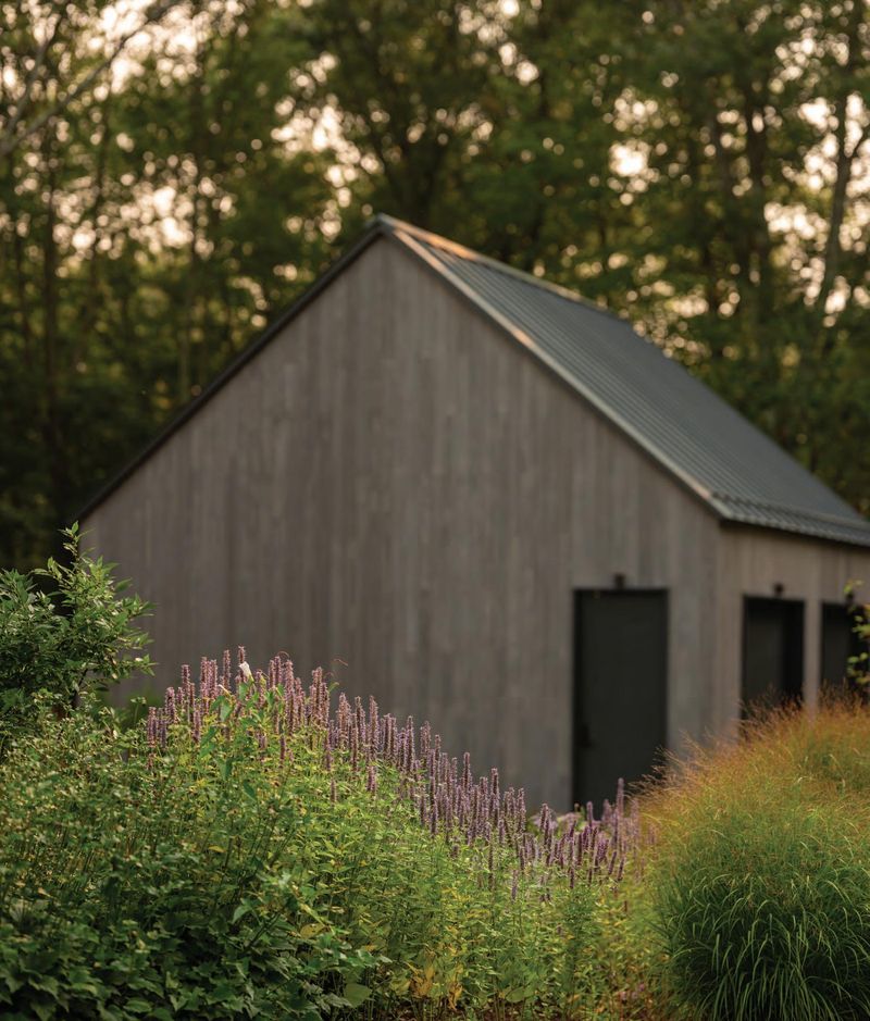 Lavender-Lined Pathways Of Litchfield