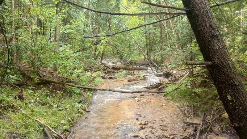 Jordan River Pathway