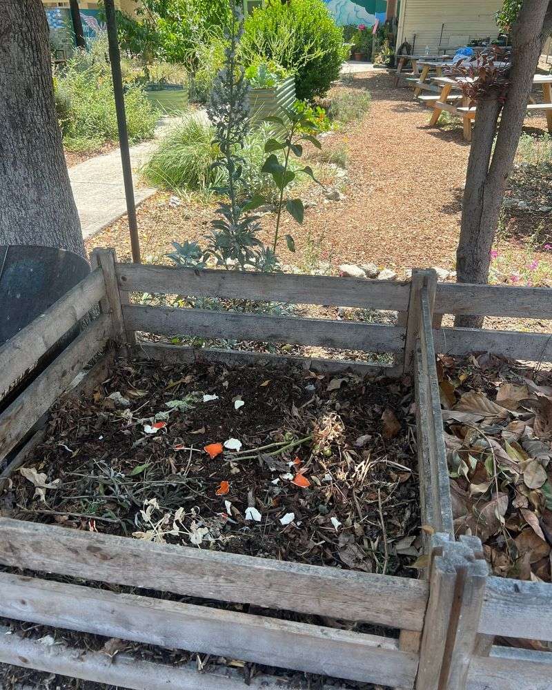 Compost Piles