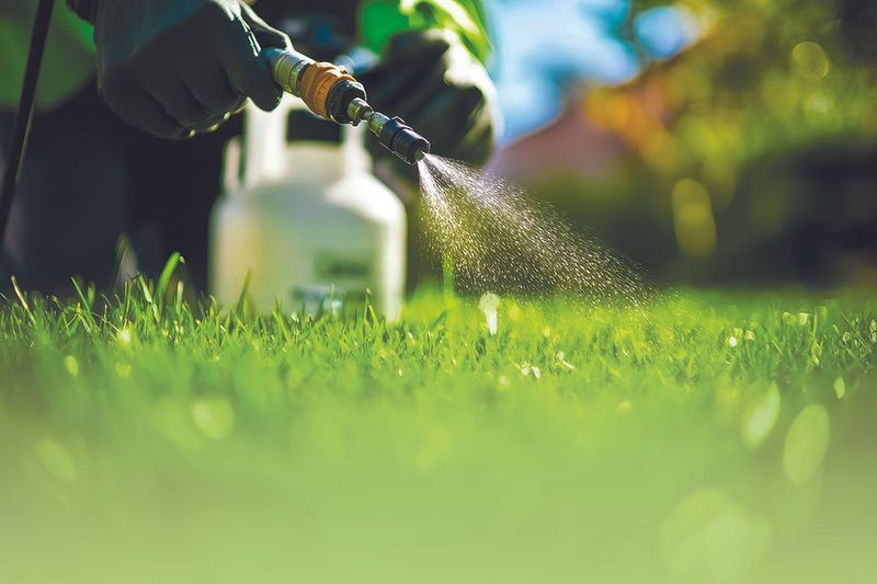 Chemical-Heavy Lawn Treatments