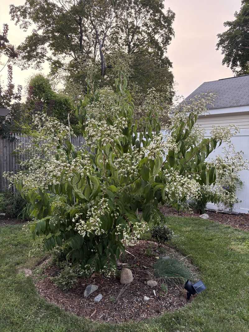 Manageable Size for Urban Gardens