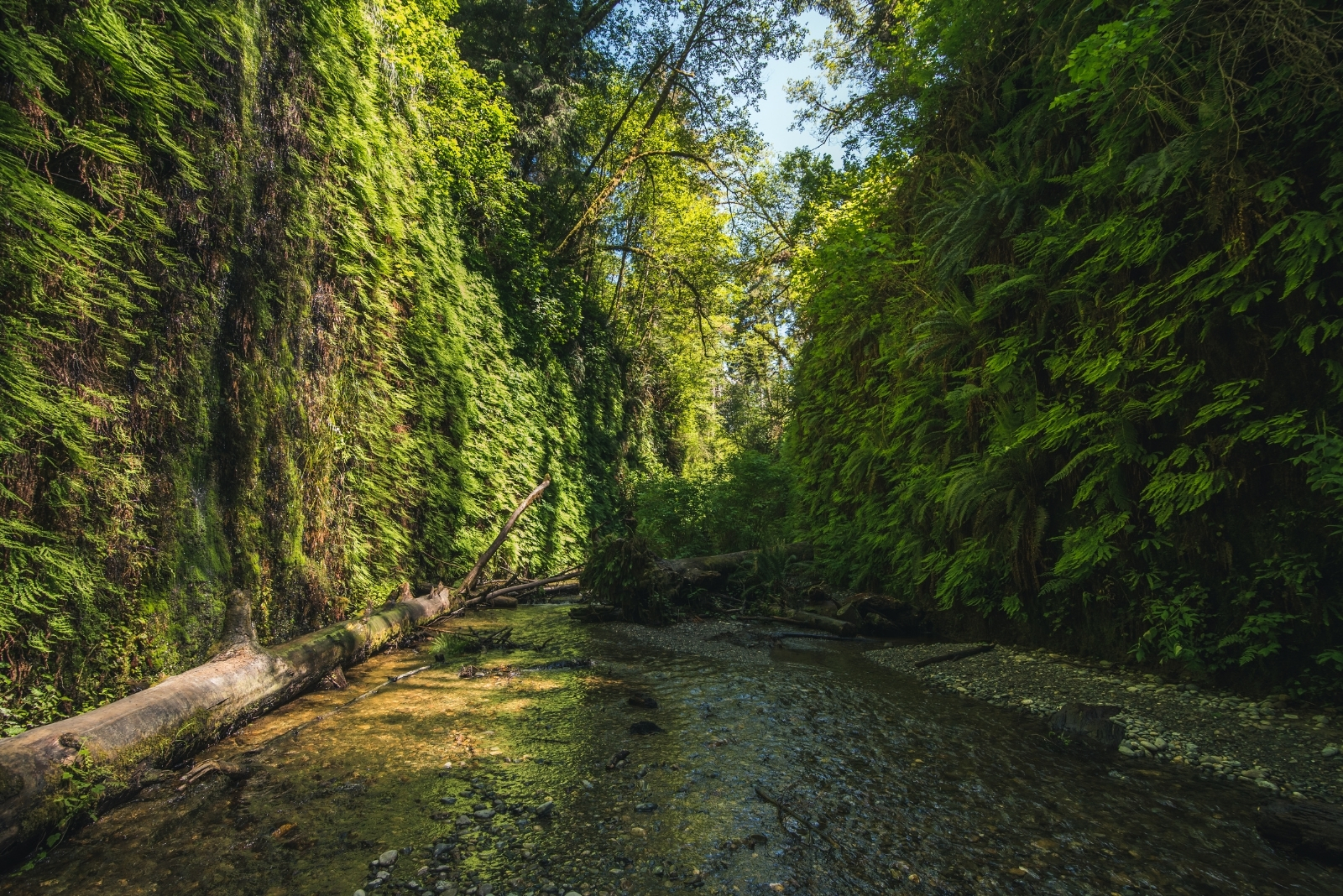 park (featured image)