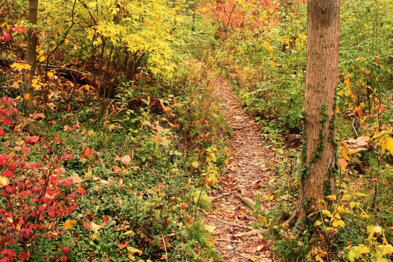 kentucky hiking trail