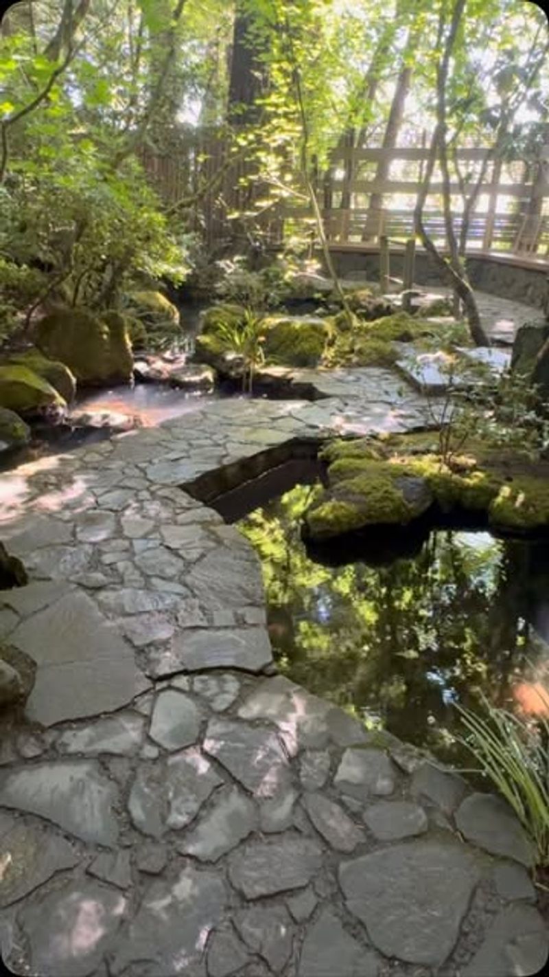 Stone And Water Dance Together