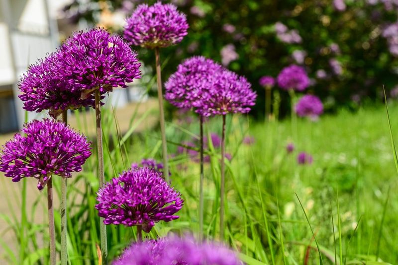Size Matters In Garden Design