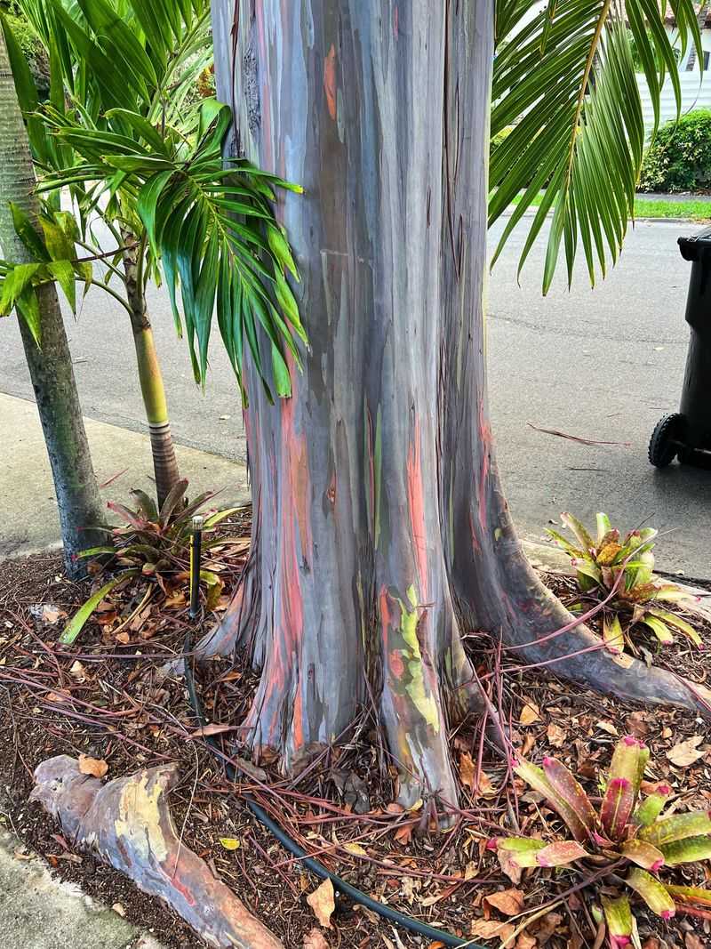 Poor Companions For Native Plants