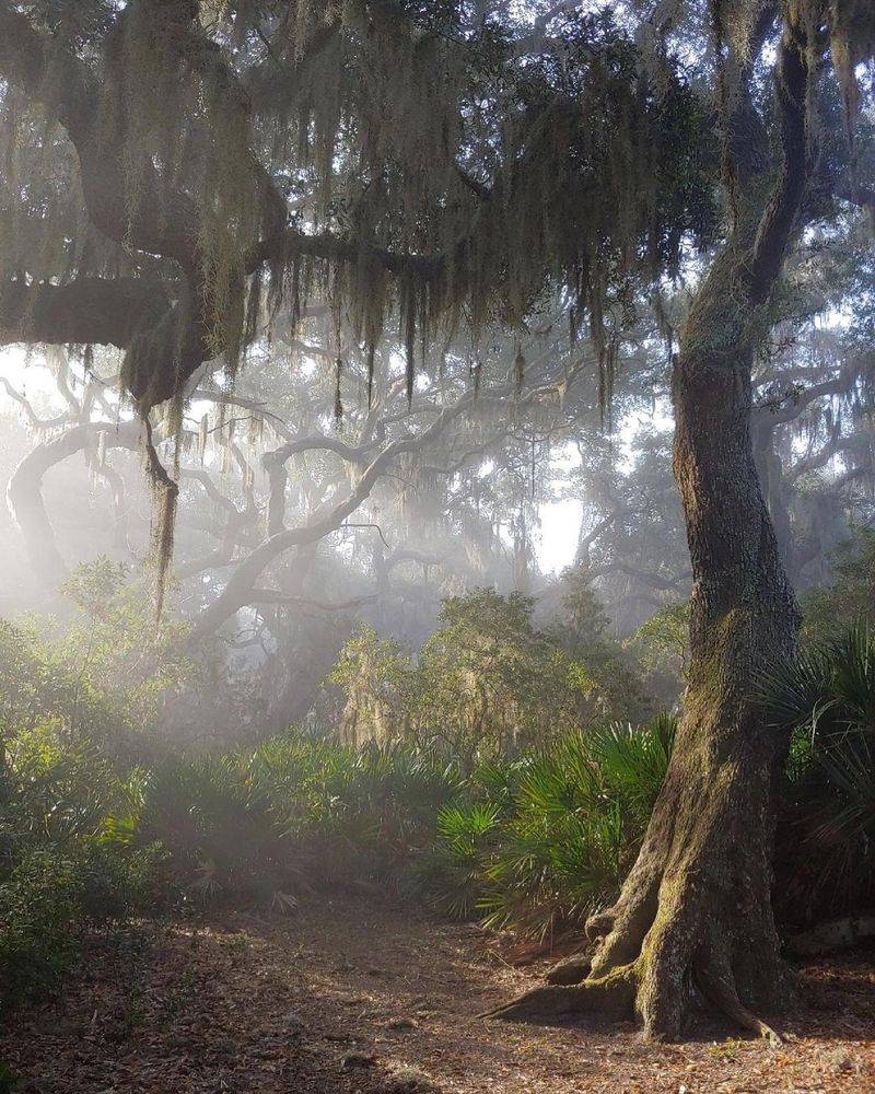 Cumberland Island National Seashore
