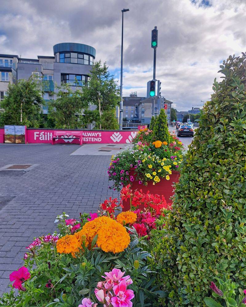 Claddagh Garden Designs