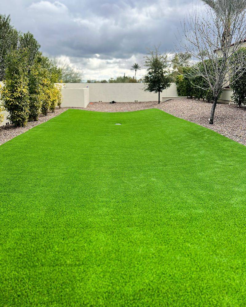 Maintain A Healthy, Thick Lawn