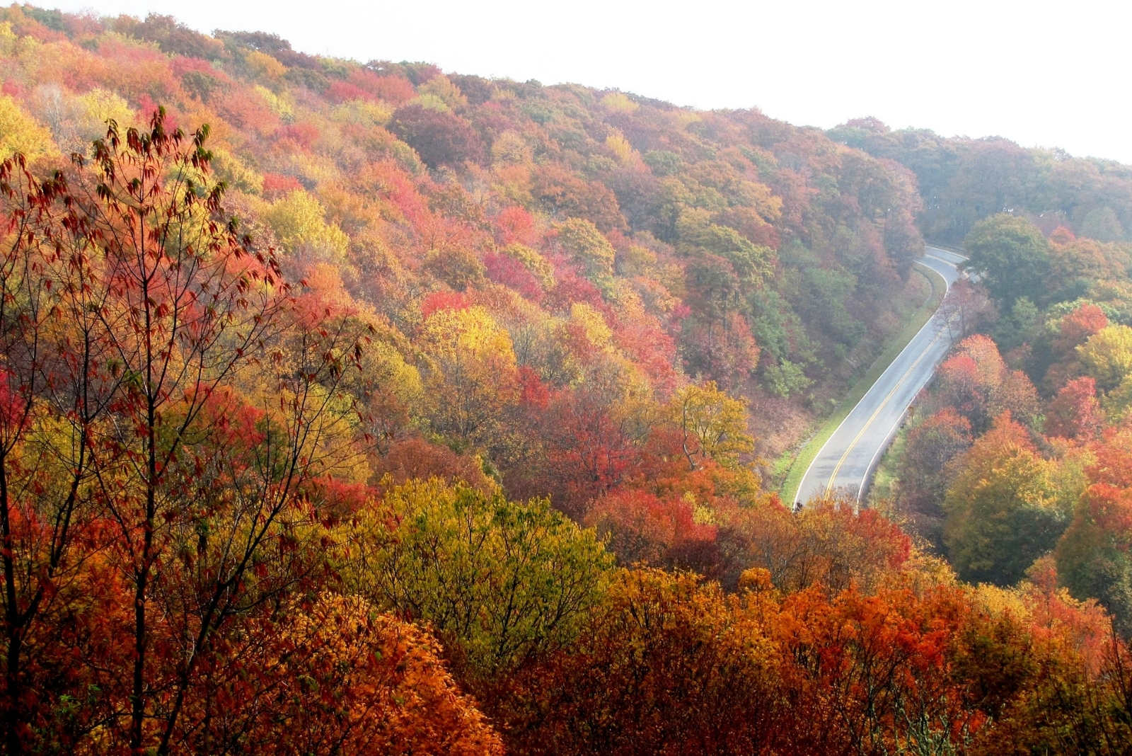 Fall Foliage Road Trips Through Vermont, New Hampshire, And Maine