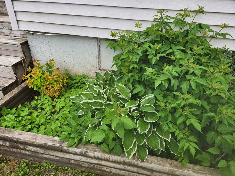 Clean Up Summer's Leftovers