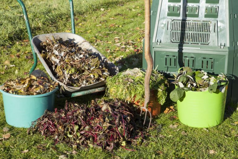 Compost bin, waste, mulch in a autumn garden