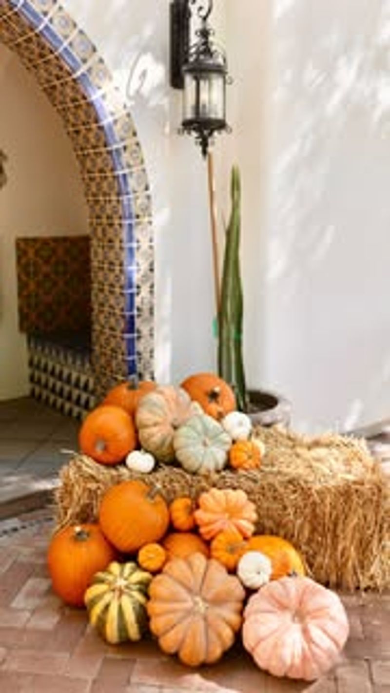 Desert-Inspired Cactus Creation