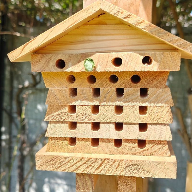 Construct A Solitary Bee Condo