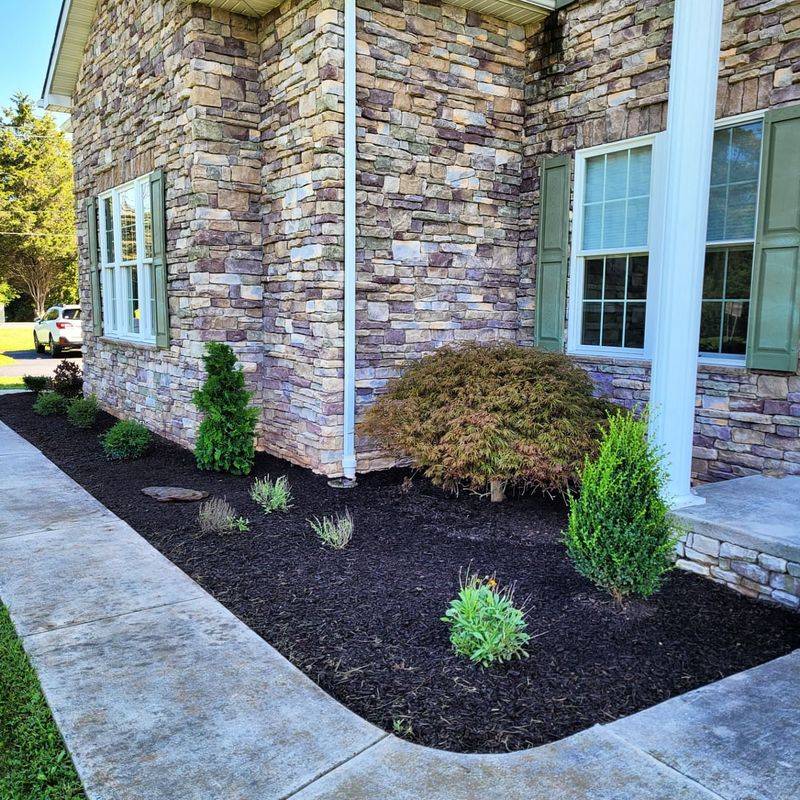 Mulch To Retain Moisture