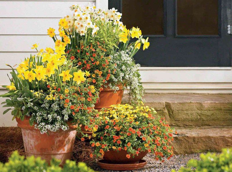 Swap Summer Bloomers For Fall Stars